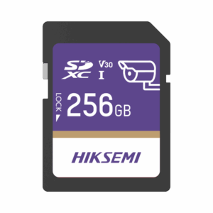 Memoria SD Clase 10 de 256 GB / Especializada Para Videovigilancia